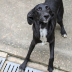 20250930-fotos-irma-5