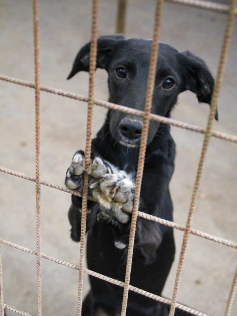 20250930-fotos-isidora-1