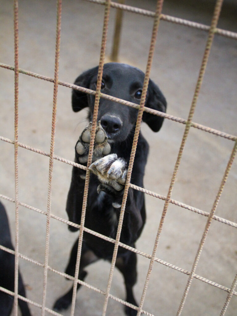 20250930-fotos-isidora-2