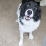 20250930-fotos-ledo-01