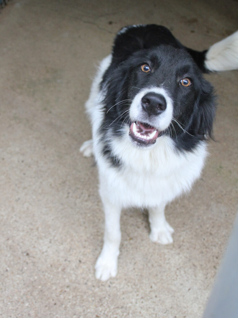 20250930-fotos-ledo-01