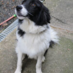 20250930-fotos-ledo-05