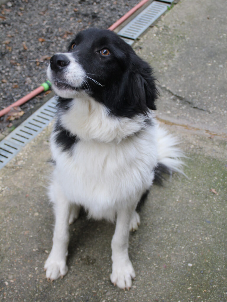 20250930-fotos-ledo-05