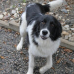 20250930-fotos-ledo-06