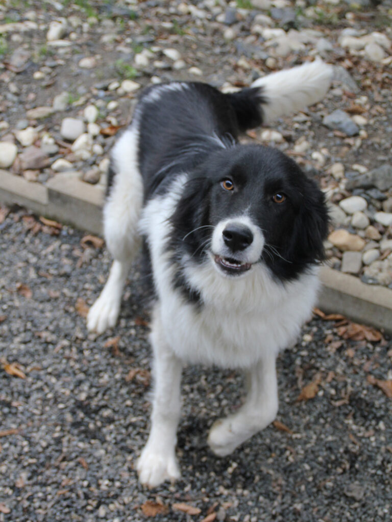 20250930-fotos-ledo-06