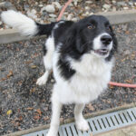 20250930-fotos-ledo-07