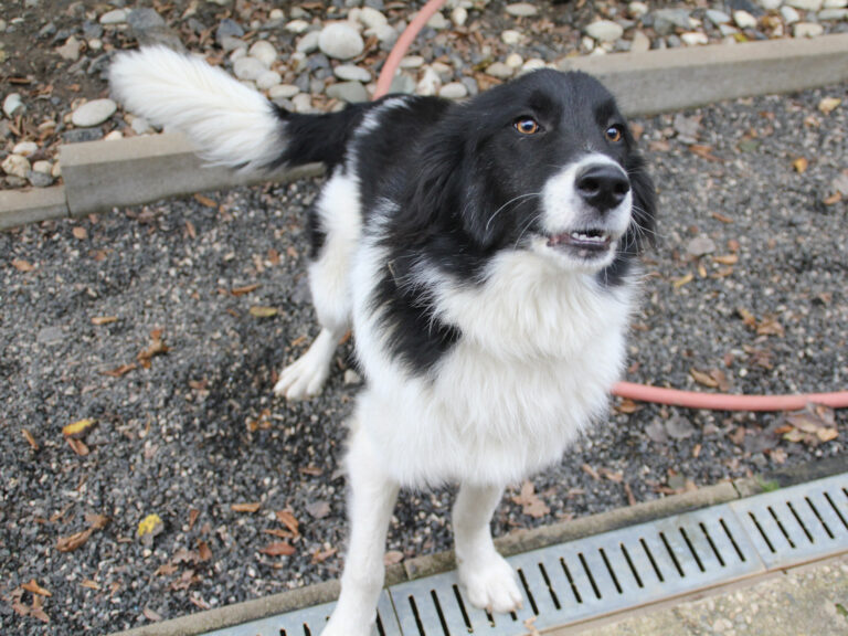 20250930-fotos-ledo-07