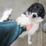 20250930-fotos-ledo-10