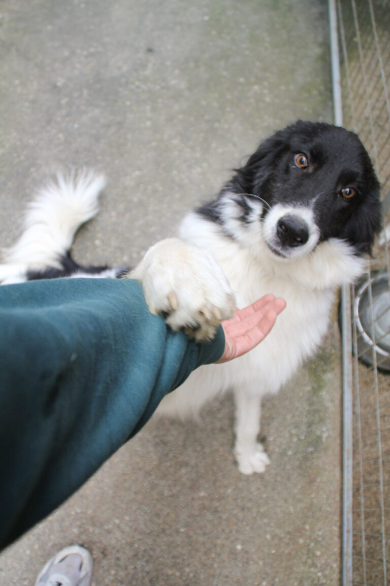 20250930-fotos-ledo-10