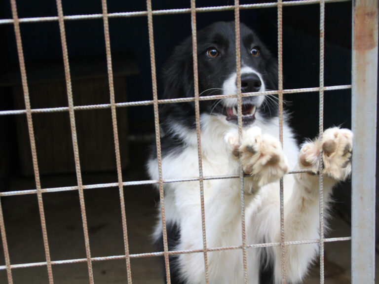 20250930-fotos-ledo-11