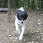 20250930-fotos-ledo-12