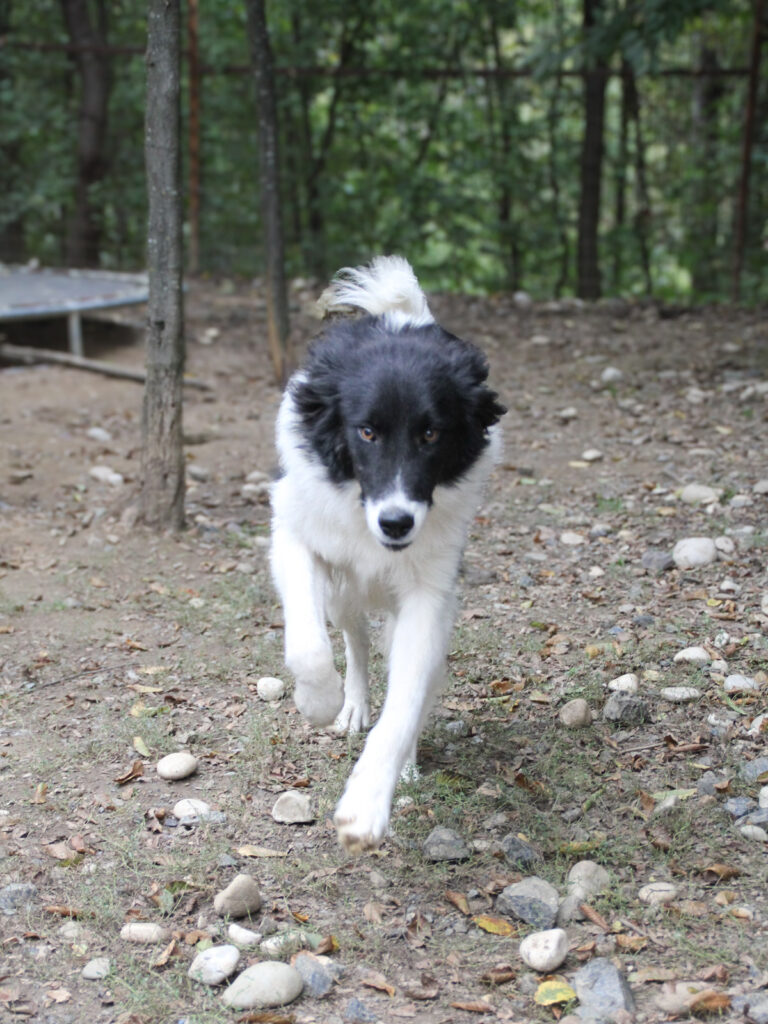 20250930-fotos-ledo-12