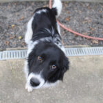 20250930-fotos-ledo-13