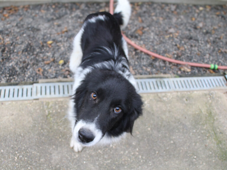 20250930-fotos-ledo-13