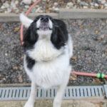 20250930-fotos-ledo-14