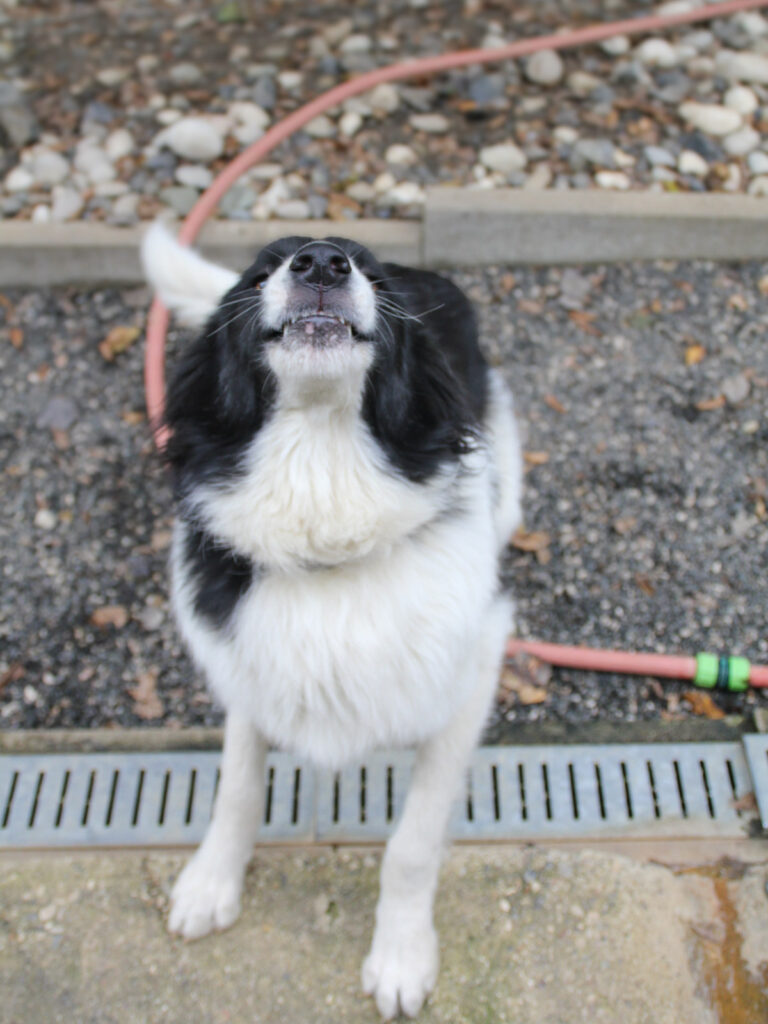 20250930-fotos-ledo-14