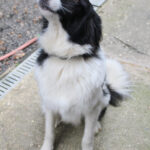 20250930-fotos-ledo-15