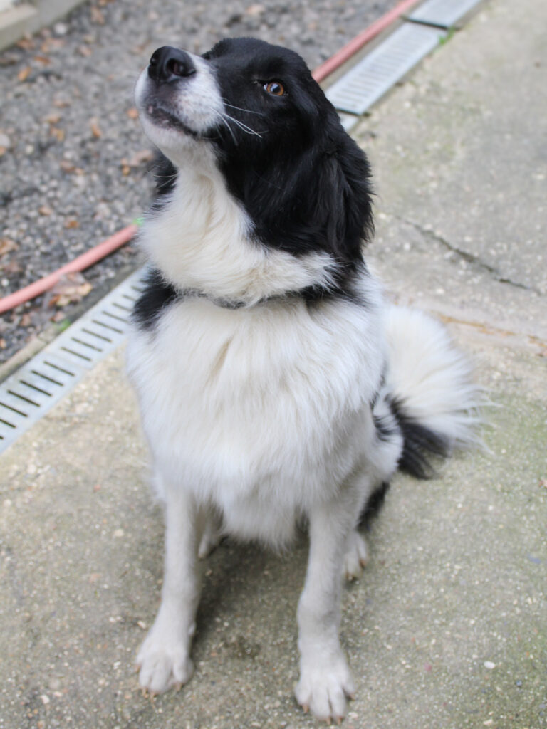 20250930-fotos-ledo-15