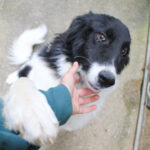 20250930-fotos-ledo-16