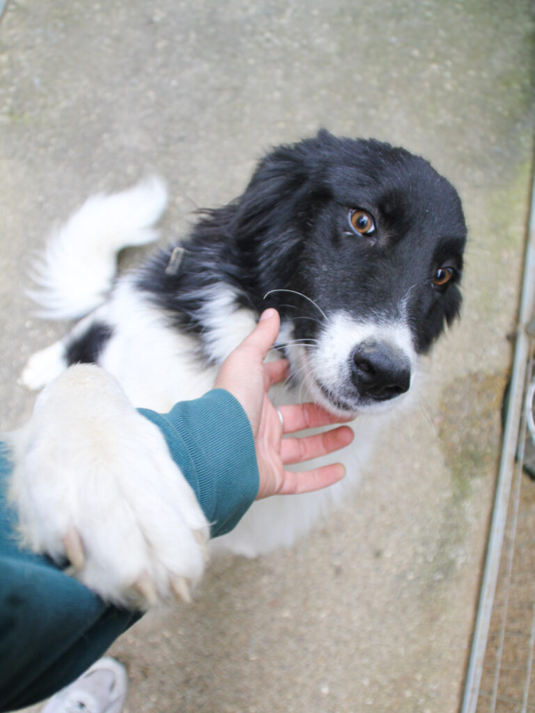 20250930-fotos-ledo-16