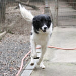 20250930-fotos-ledo-17