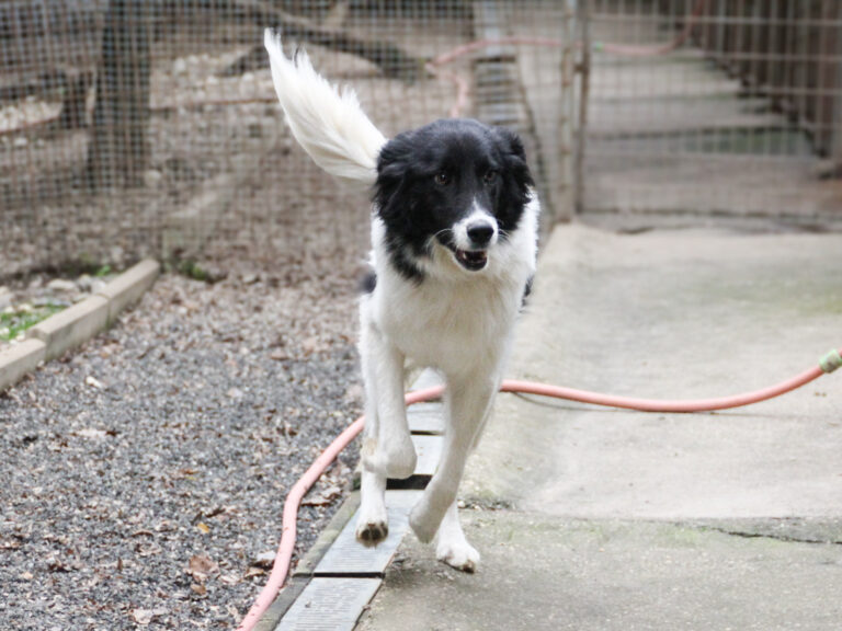 20250930-fotos-ledo-17