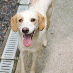 20250930-fotos-lima-01