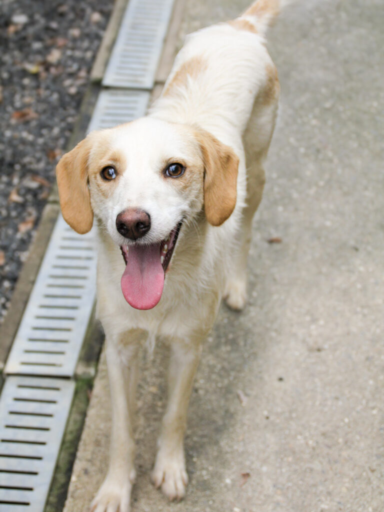 20250930-fotos-lima-01