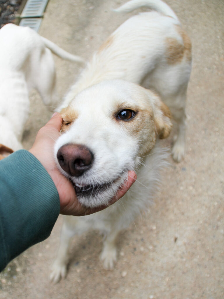 20250930-fotos-lima-03