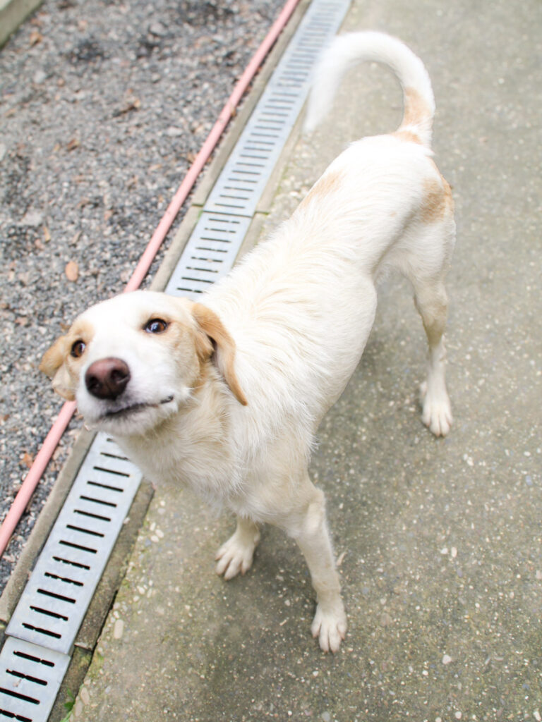 20250930-fotos-lima-06