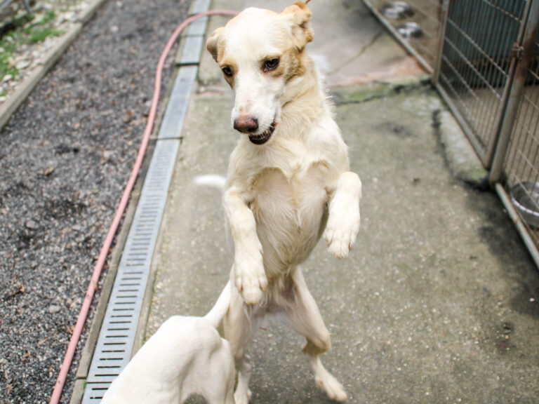 20250930-fotos-lima-08