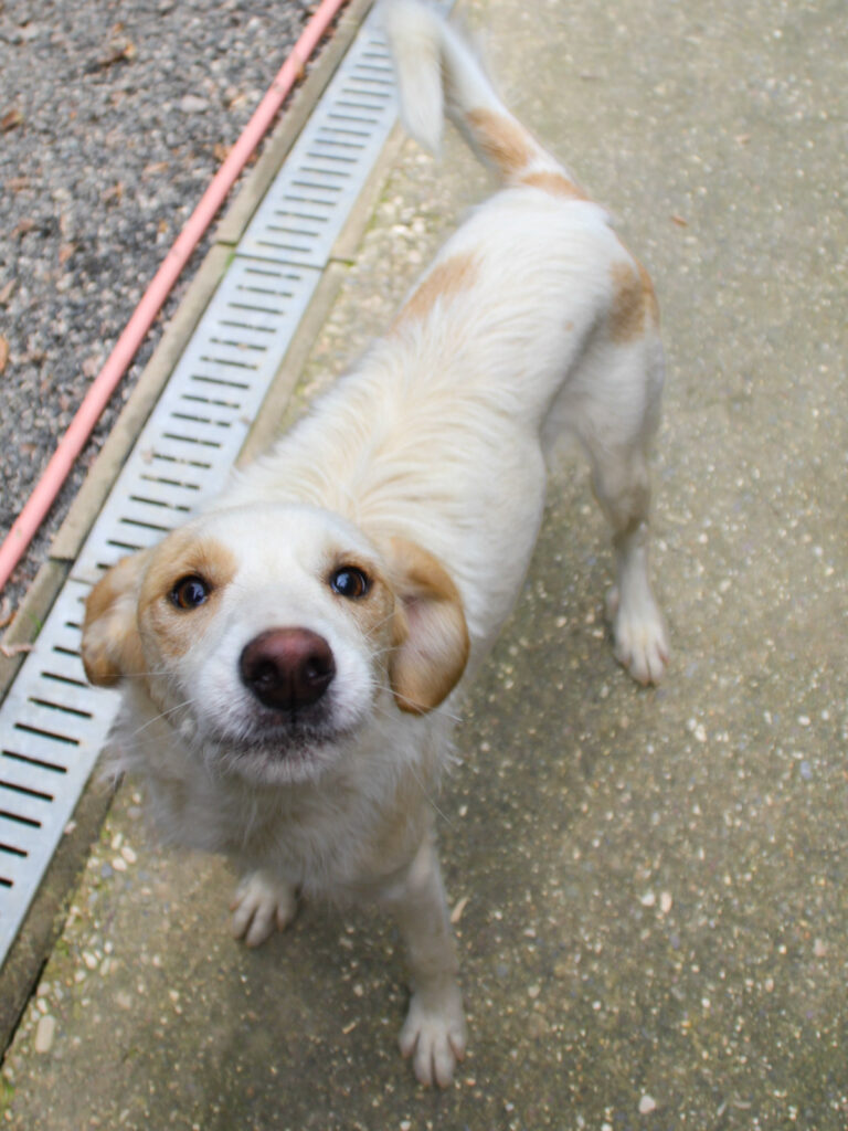 20250930-fotos-lima-09