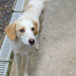 20250930-fotos-lima-11