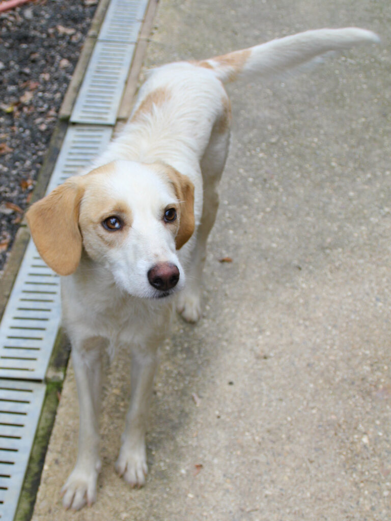 20250930-fotos-lima-11