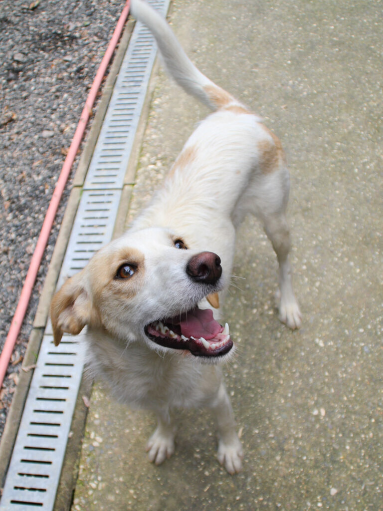 20250930-fotos-lima-12