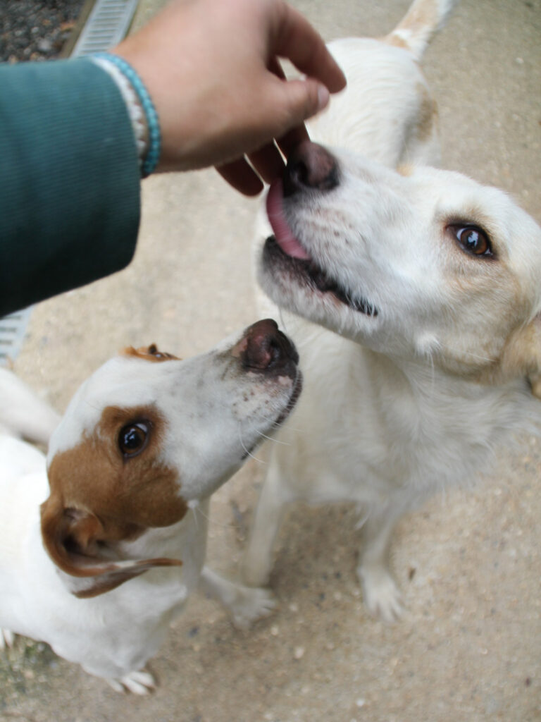 20250930-fotos-lima-14