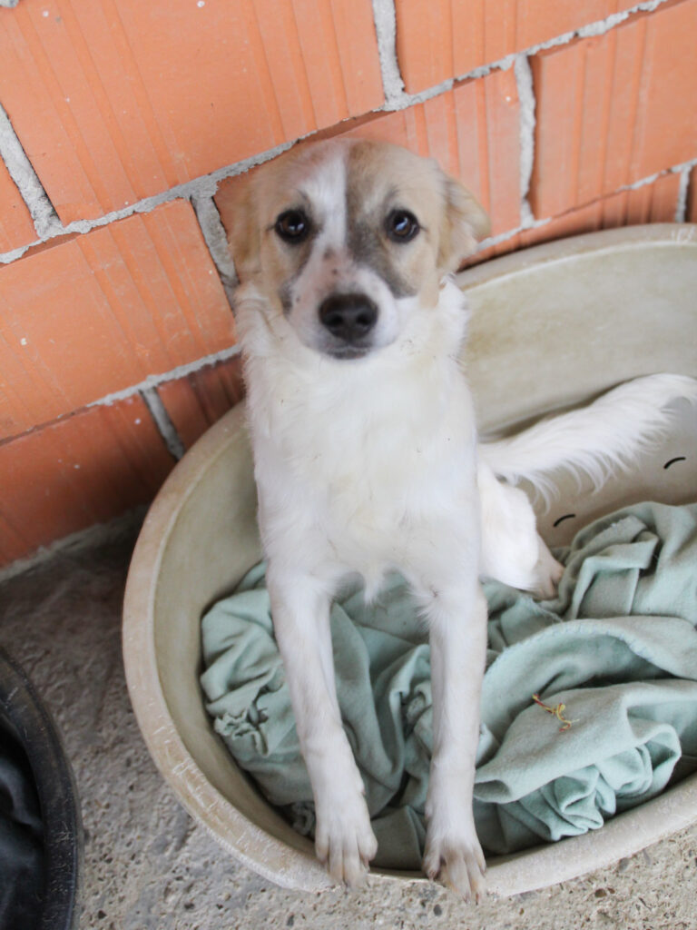 20250930-fotos-nastya-1