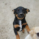 20250930-fotos-roxana-1