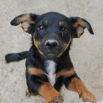 20250930-fotos-roxana-2