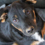 20250930-fotos-roxana-4