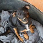 20250930-fotos-roxana-6