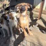 20251004-fotos-alma-02