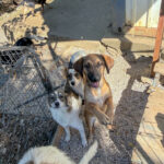 20251004-fotos-alma-03