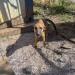 20251004-fotos-alma-05