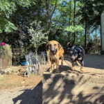 20251004-fotos-alma-09