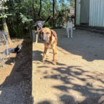 20251004-fotos-alma-15