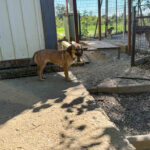 20251004-fotos-alma-17