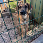 20251004-fotos-alma-19