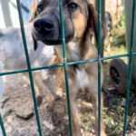 20251004-fotos-alma-21