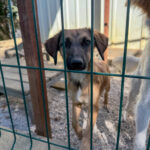 20251004-fotos-alma-23